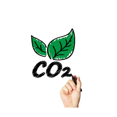 CO2-neutral shipping & packaging made from grass?